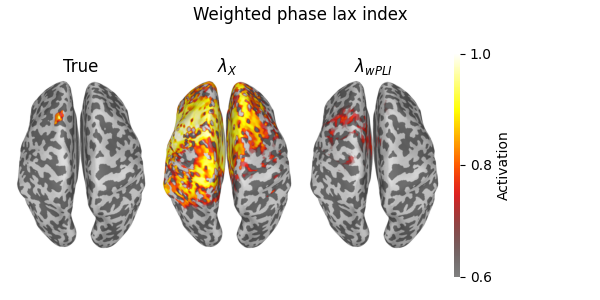 Weighted phase lax index, True, $\lambda_{{X}}$, $\lambda_{{wPLI}}$