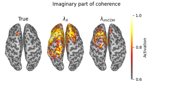 Imaginary part of coherence, True, $\lambda_{{X}}$, $\lambda_{{imCOH}}$